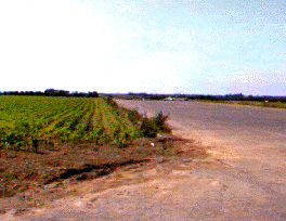 South Wales Radio Control Society's runway